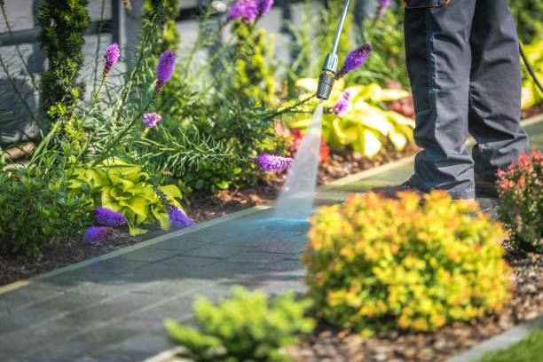 Professional  Pressure Washing Services in Candlewick Lake, IL