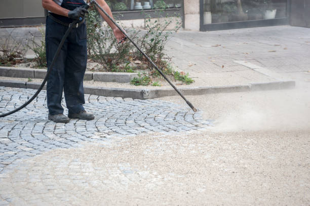Best Animal Enclosure Cleaning  in Candlewick Lake, IL
